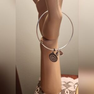 Alex and Ani Silver Charm bangle  Bracelet